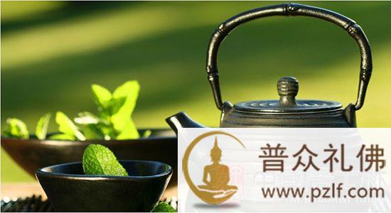 中国西南地区是世界茶树原产地.jpg